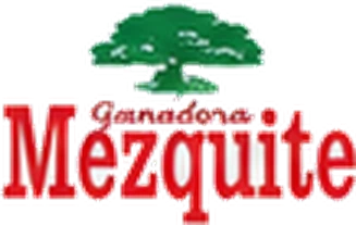 Ganadora Mezquite
